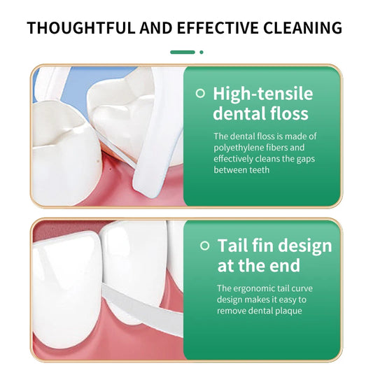 Zahnseide Sticks im Reise Etui