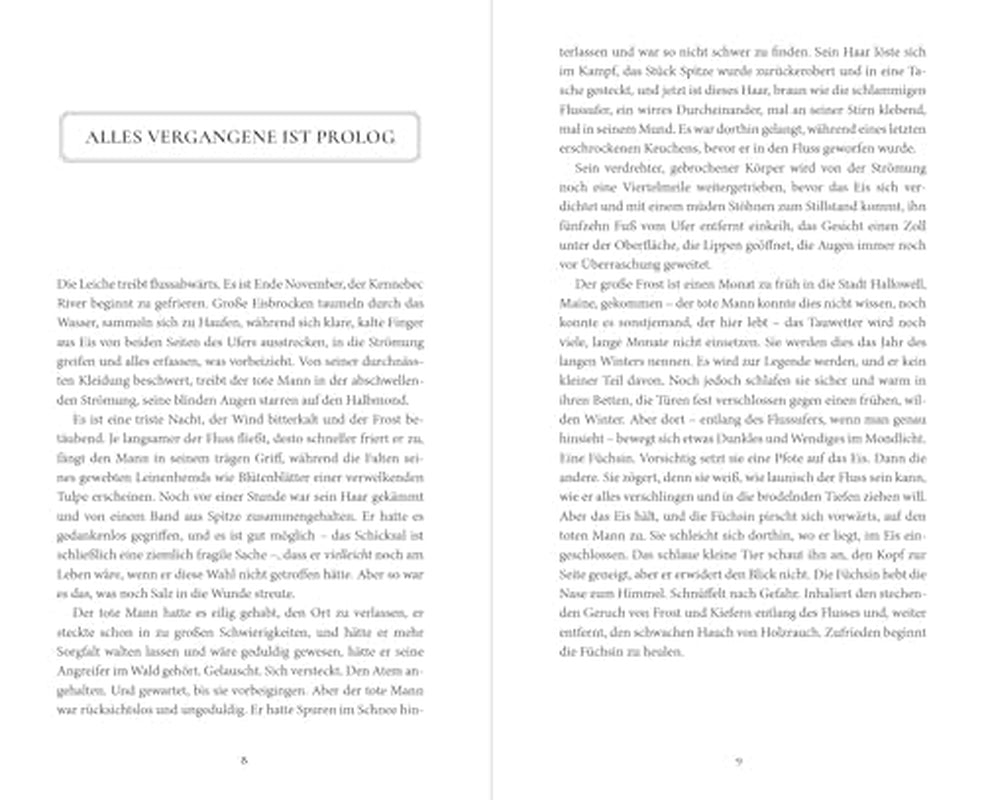 Der Gefrorene Fluss: Der Millionenfach Verkaufte Bestseller Jetzt Endlich Als Taschenbuch!