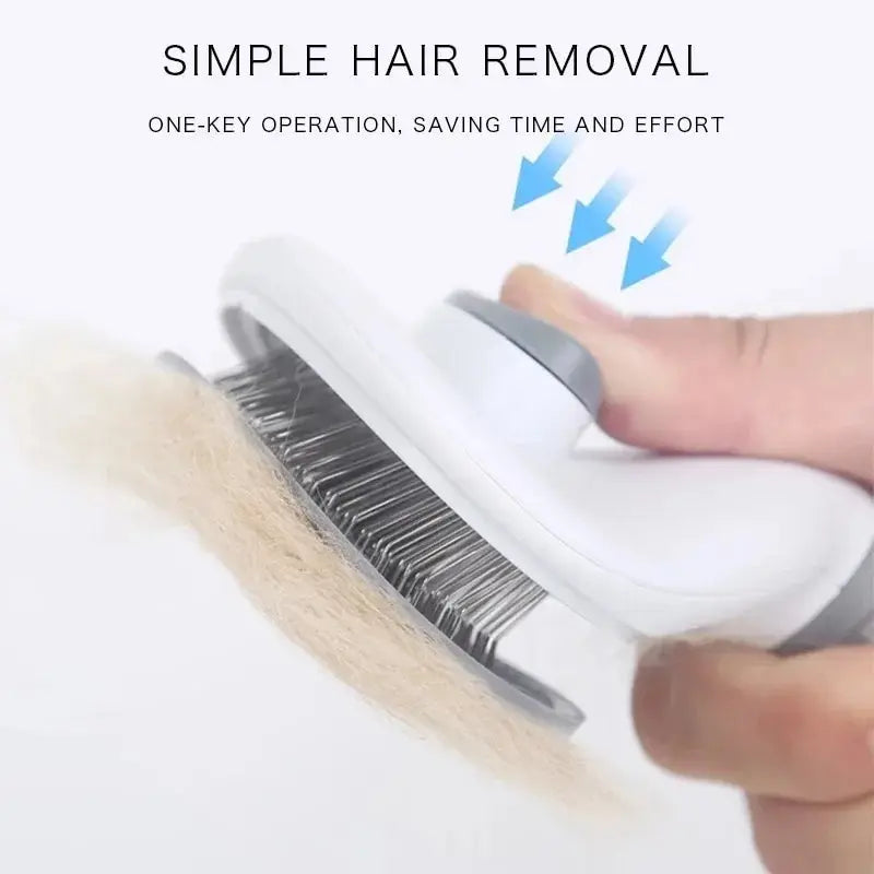 Pet brush with massage function 