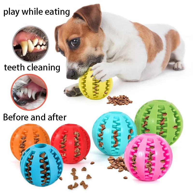 Natural rubber dog toy ball for dental care 