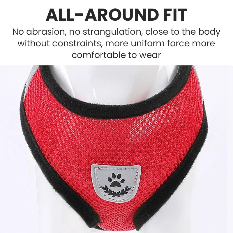 Pet harness for dogs &amp; cats (outdoor)