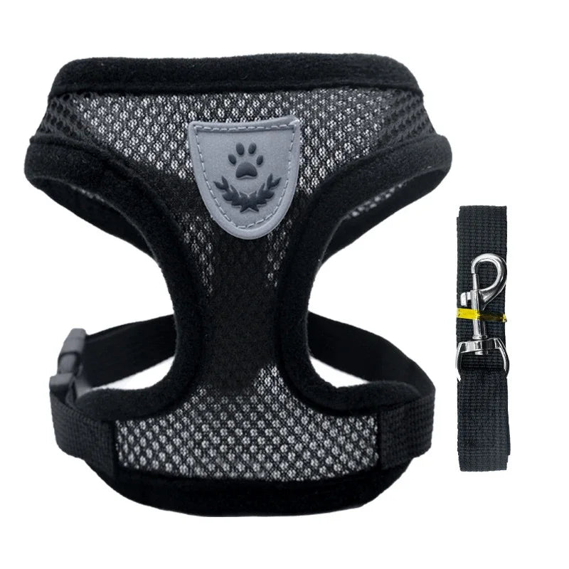 Pet harness for dogs &amp; cats (outdoor)