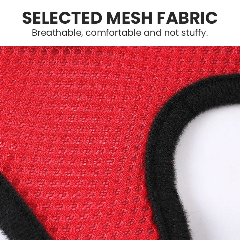 Pet harness for dogs &amp; cats (outdoor)