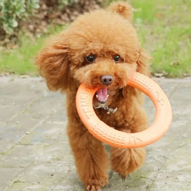 EVA dog toy for dental care 