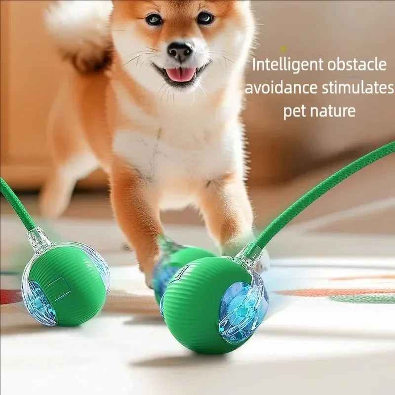 Cat toy - Electric toy ball for pets 