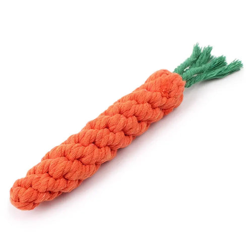 Carrot-shaped chew toy for dogs 