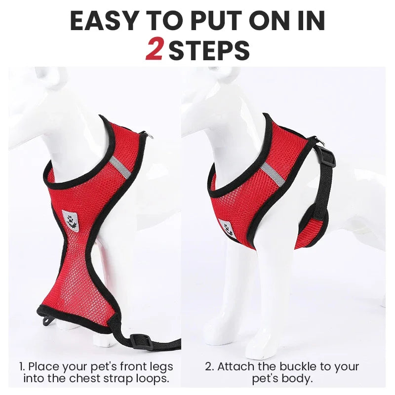 Pet harness for dogs &amp; cats (outdoor)