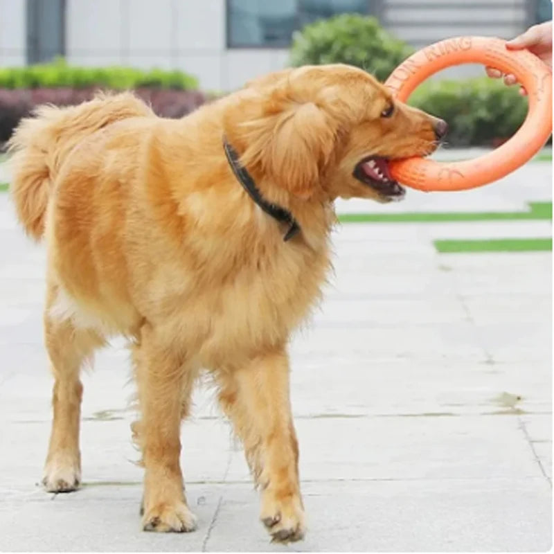 EVA dog toy for dental care 
