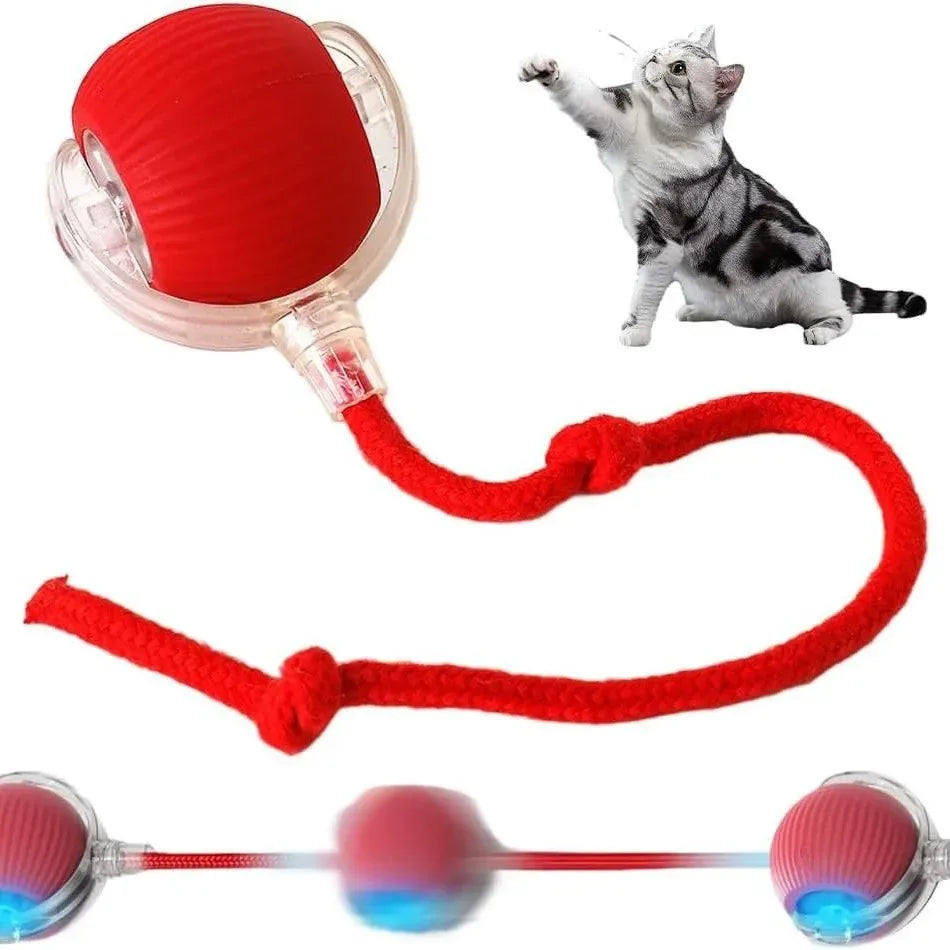 Cat toy - Electric toy ball for pets 