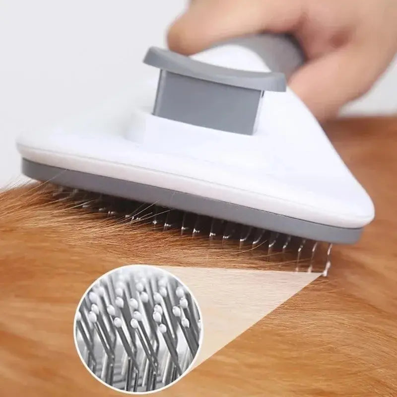 Pet brush with massage function 