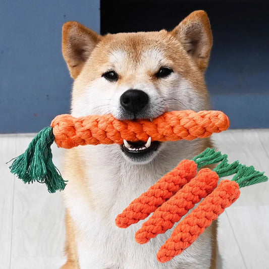 Carrot-shaped chew toy for dogs 